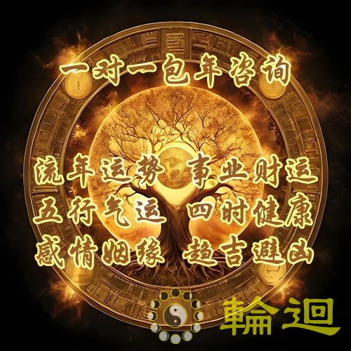 资深大师一对一包年综合咨询