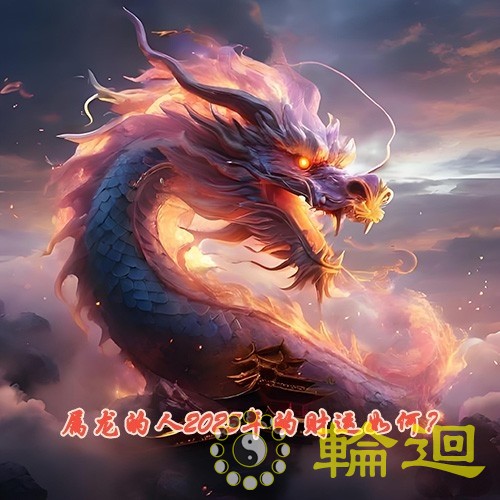属龙的人2025年的财运如何？