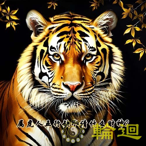 属虎的人五行缺水请什么财神呢？