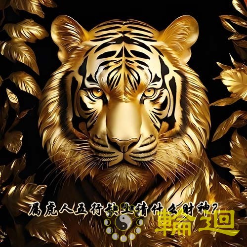 属虎的人五行缺土请什么财神呢？